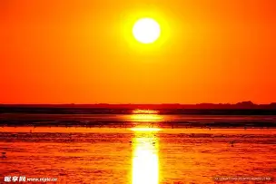 太阳关键时刻失误不断,球队憾负对手,任何.的简单介绍 太阳关键时刻失误不断,球队憾负对手,任何.的简单介绍