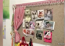 Duomi sports 海港比赛延期可全力备战上海德比 