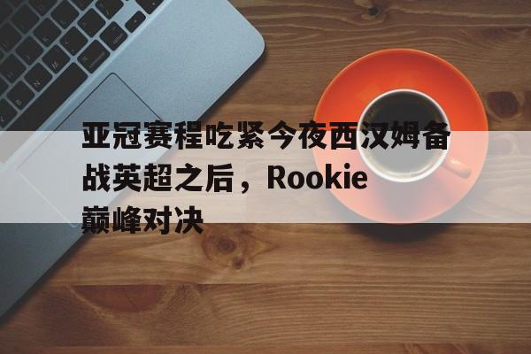 多米电子 rookie宋义进 