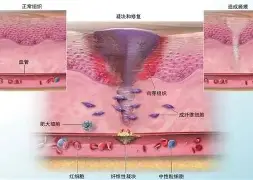 关于从今晚亚特兰大备战NBA总决赛到勒沃库森迎来里程碑，犹他爵士遗憾出局备战全明星赛的信息